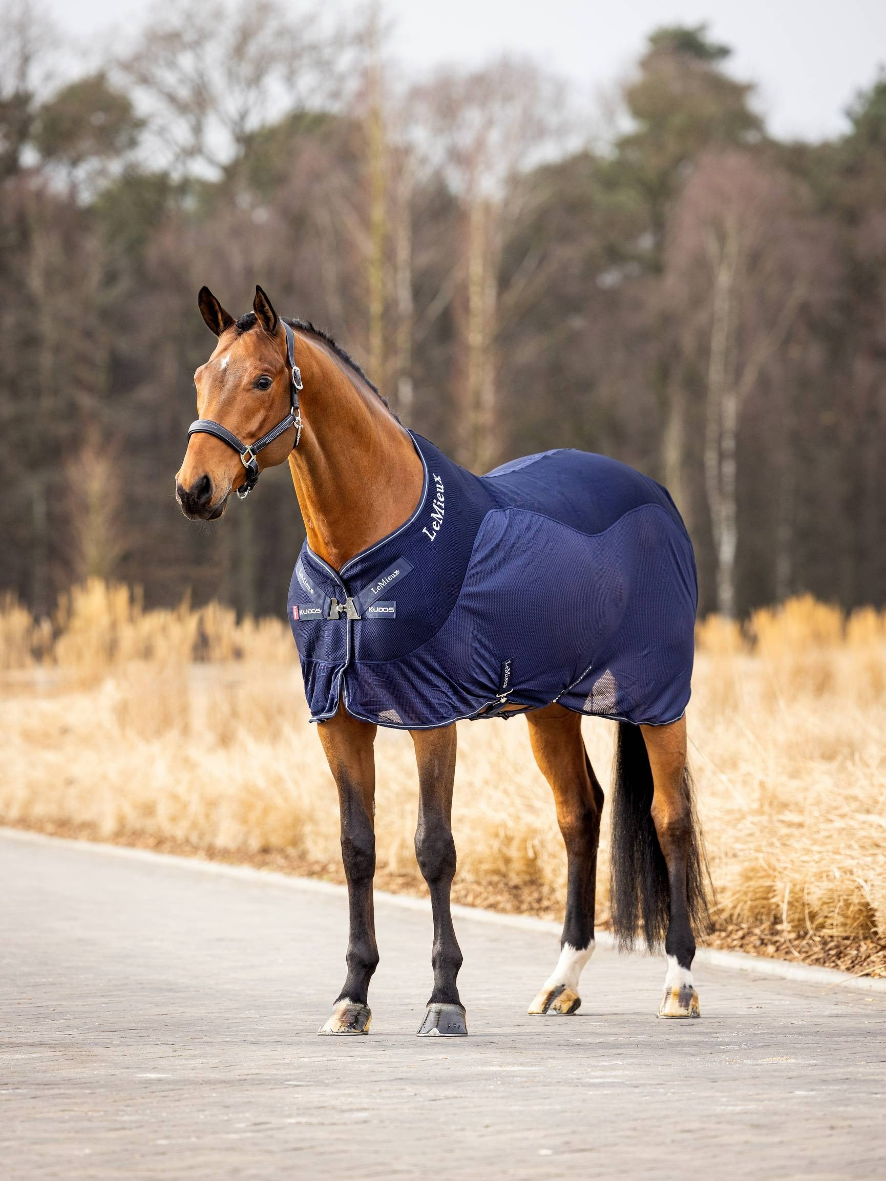 LeMieux Kudos Mesh Sports Cooler Rug