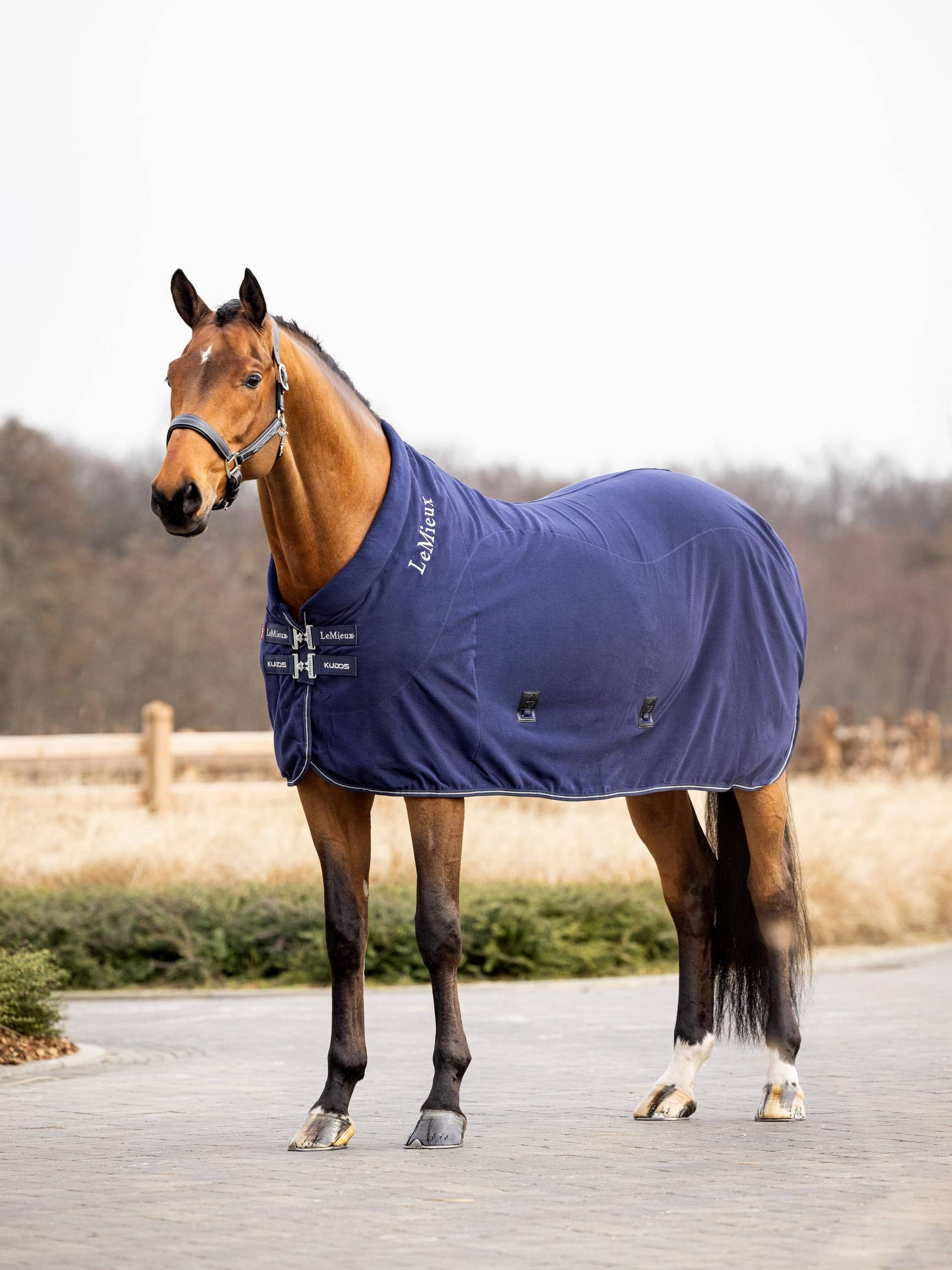 LeMieux Kudos Fleece Cooler Rug