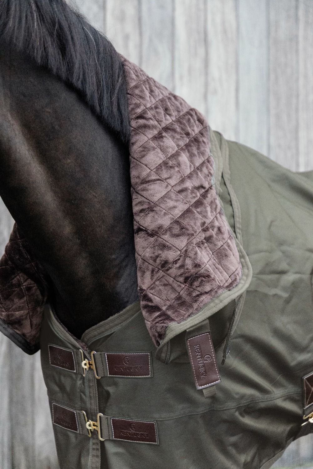 Kentucky Horsewear Neck All Weather Waterproof Pro