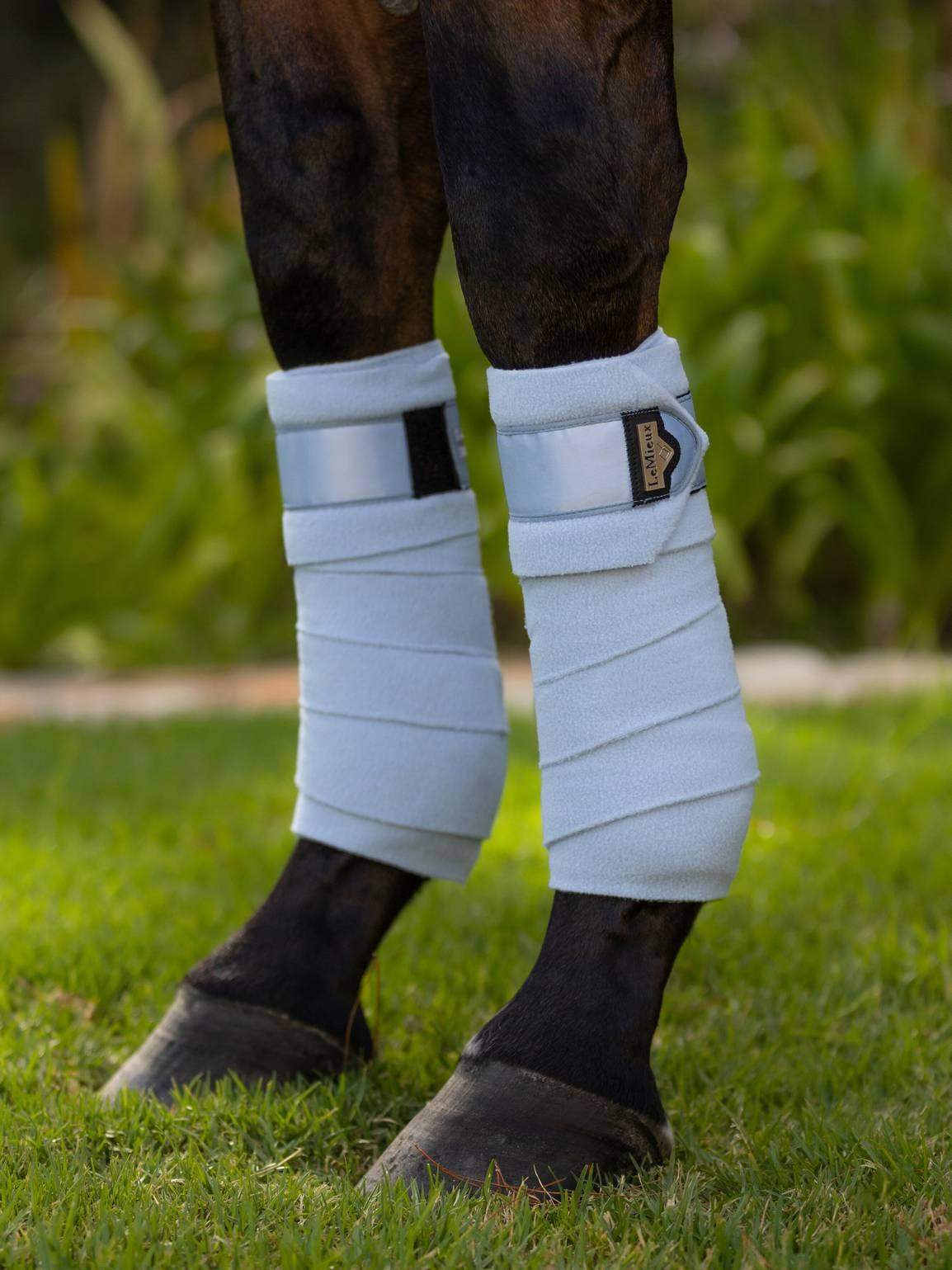 LeMieux Loire Polo Bandages