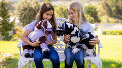 LeMieux Toy Pony Razzle