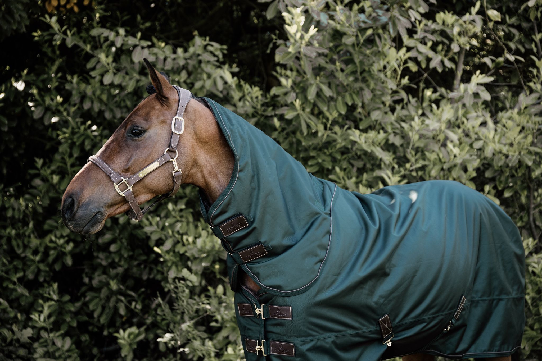 Kentucky Horsewear Neck All Weather Waterproof Pro