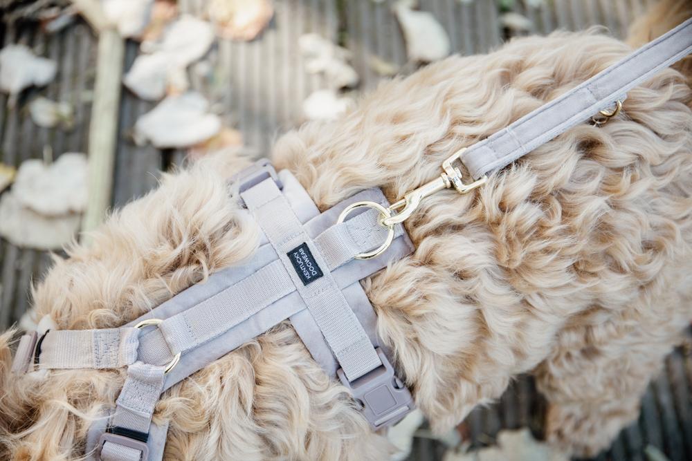 Kentucky Horsewear Dog Lead Velvet