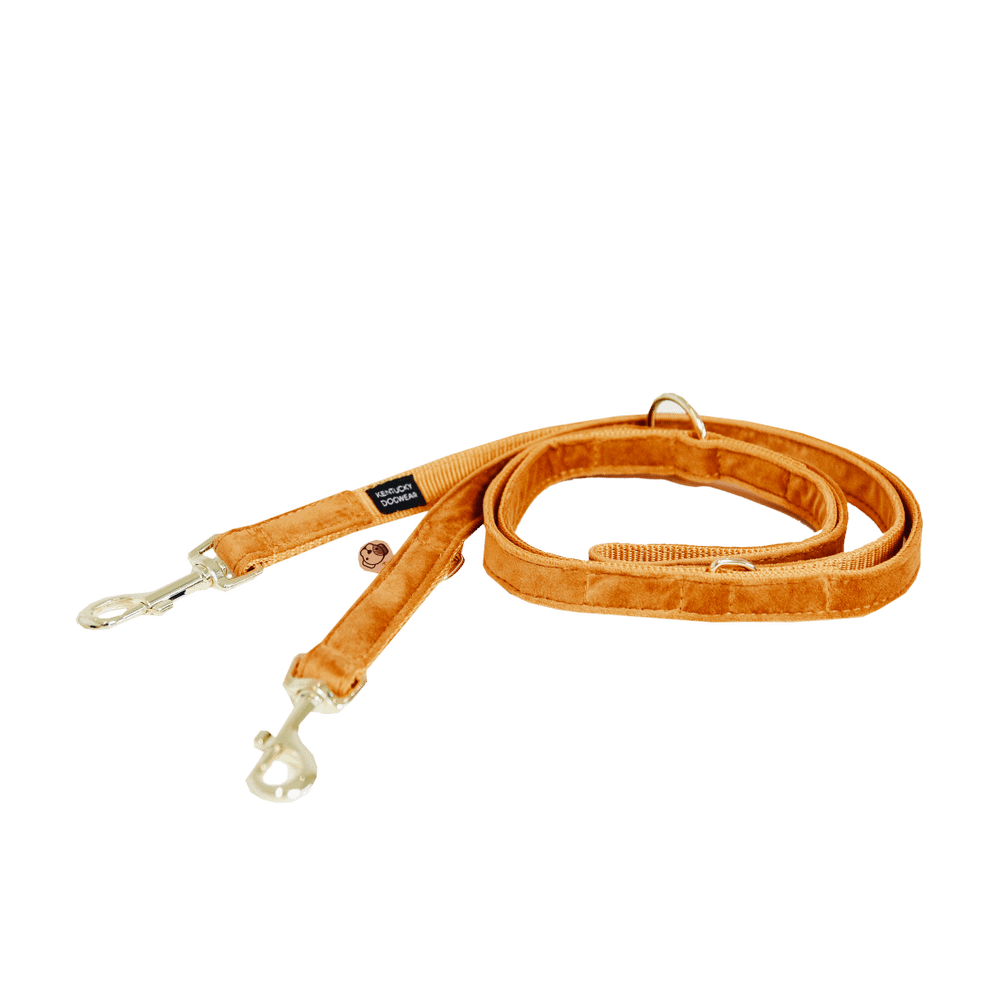 Kentucky Horsewear Dog Lead Velvet