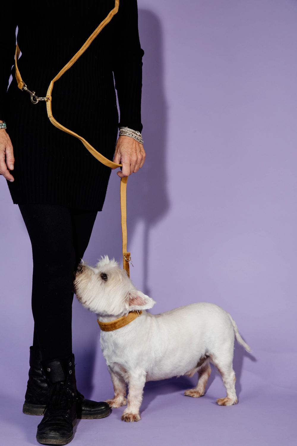 Kentucky Horsewear Dog Lead Velvet