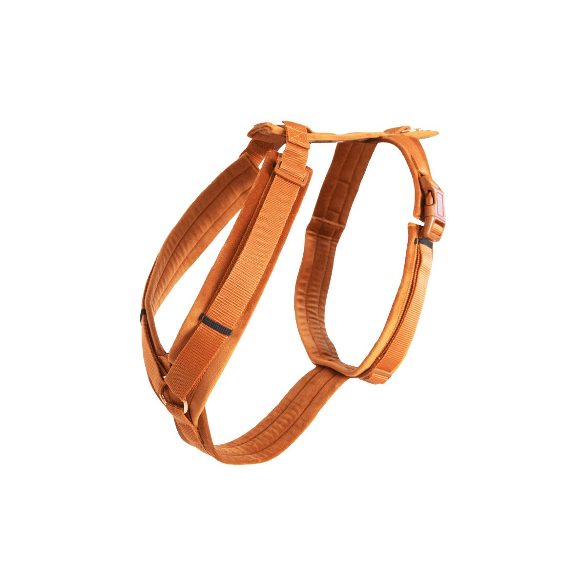 Kentucky Horsewear Dog Harness Active Velvet