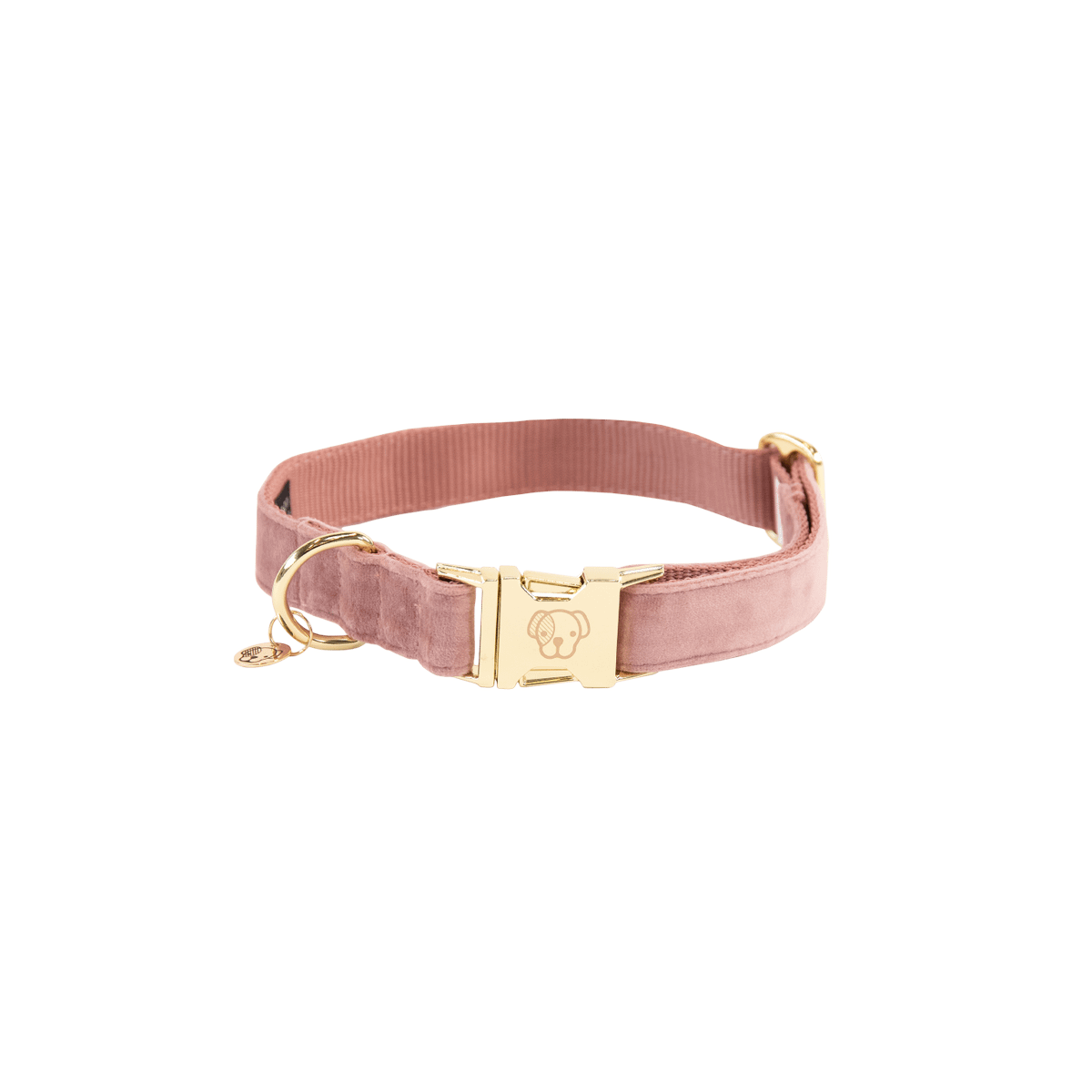 Kentucky Horsewear Dog Collar Velvet