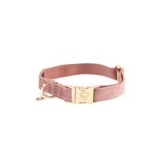 Kentucky Horsewear Dog Collar Velvet