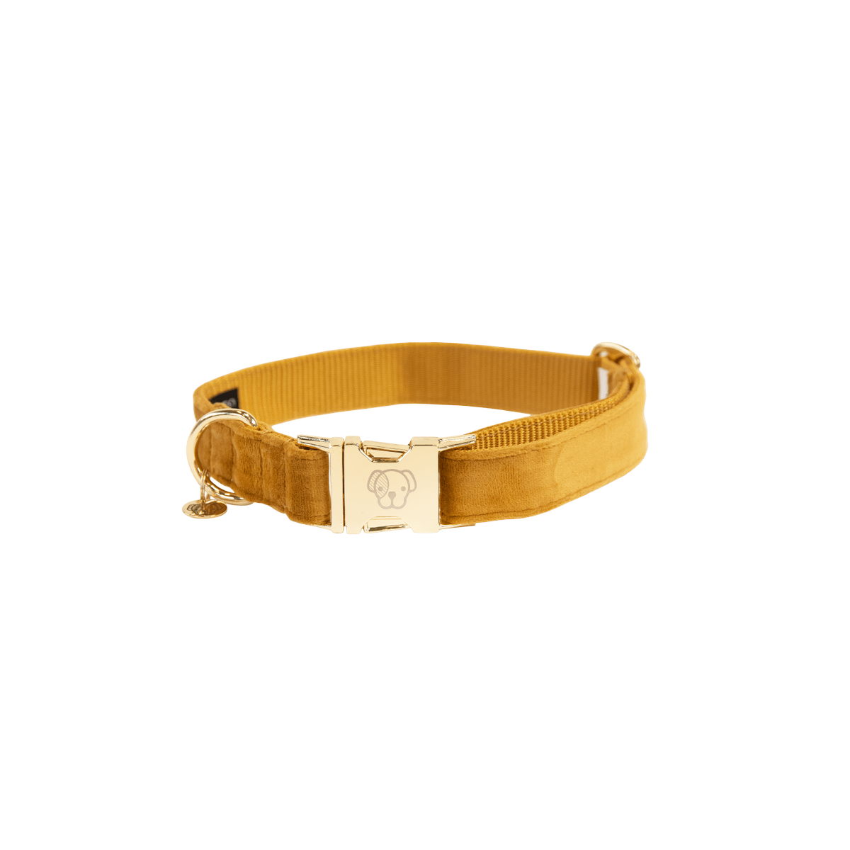 Kentucky Horsewear Dog Collar Velvet