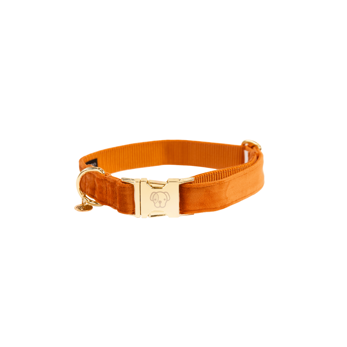 Kentucky Horsewear Dog Collar Velvet