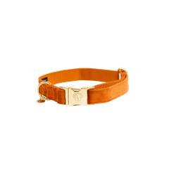 Kentucky Horsewear Dog Collar Velvet