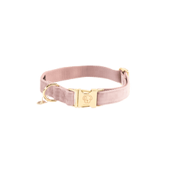 Kentucky Horsewear Dog Collar Velvet