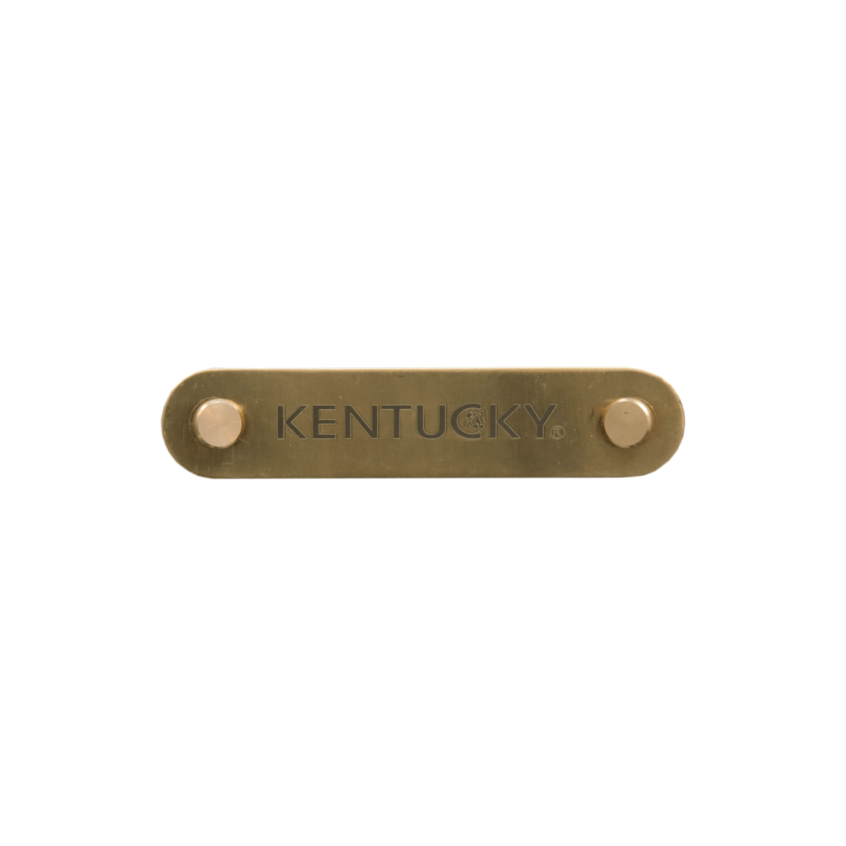 Kentucky Horsewear Name Plate Logo Halter