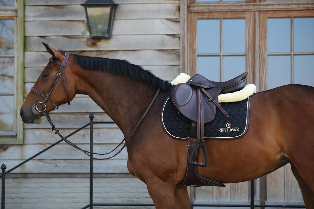 Kentucky Horsewear Saddle Pad Jumping