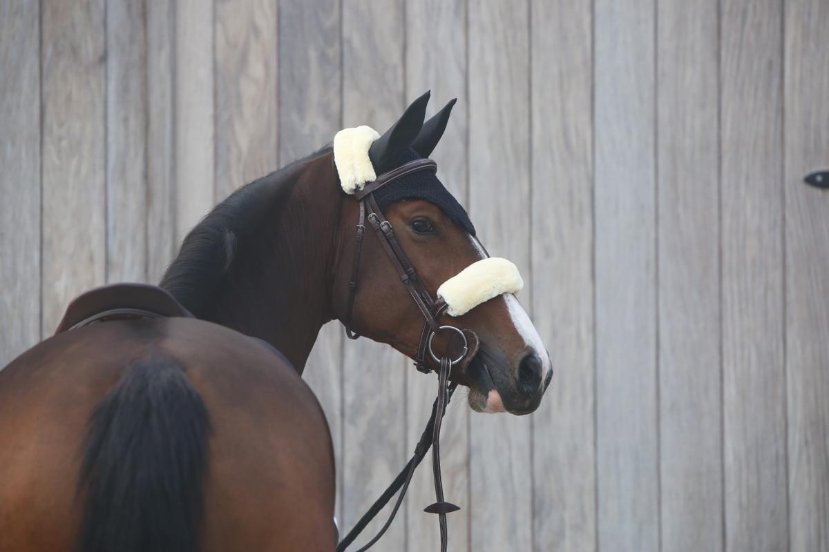 Kentucky Horsewear Fly veil