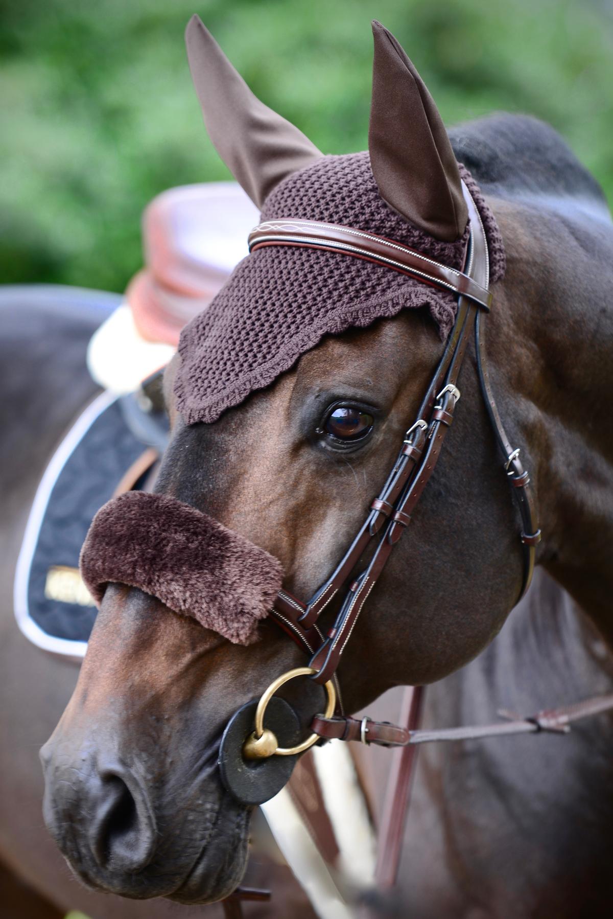 Kentucky Horsewear Fly veil