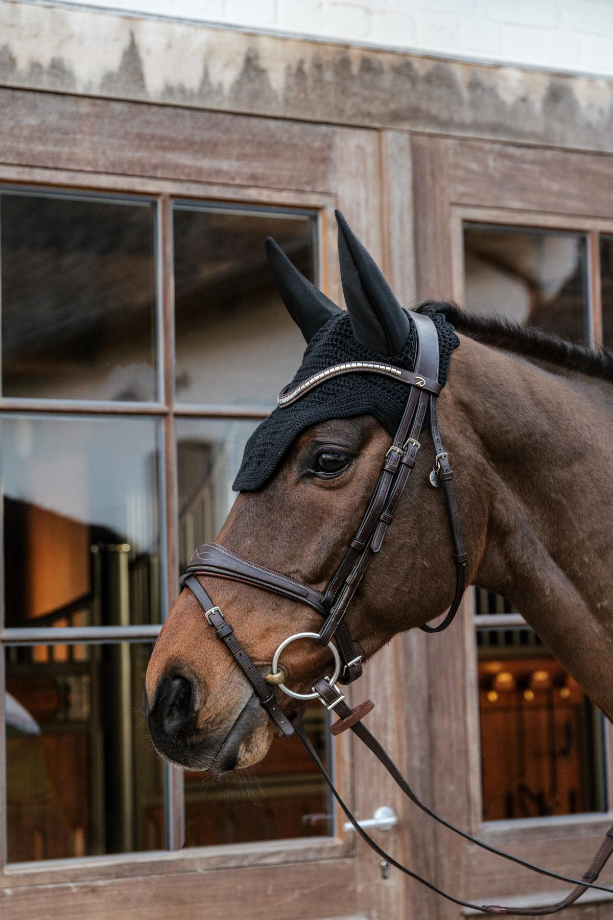 Kentucky Horsewear Fly Veil Wellington