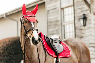 Kentucky Horsewear Fly Veil Wellington Velvet