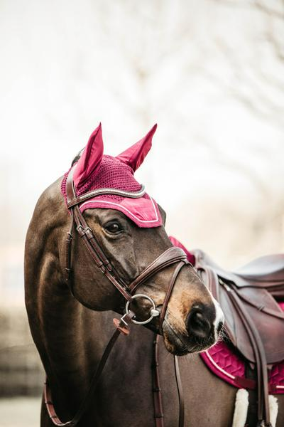 Kentucky Horsewear Fly Veil Wellington Velvet