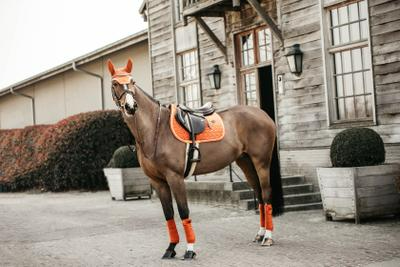Kentucky Horsewear Fly Veil Wellington Velvet