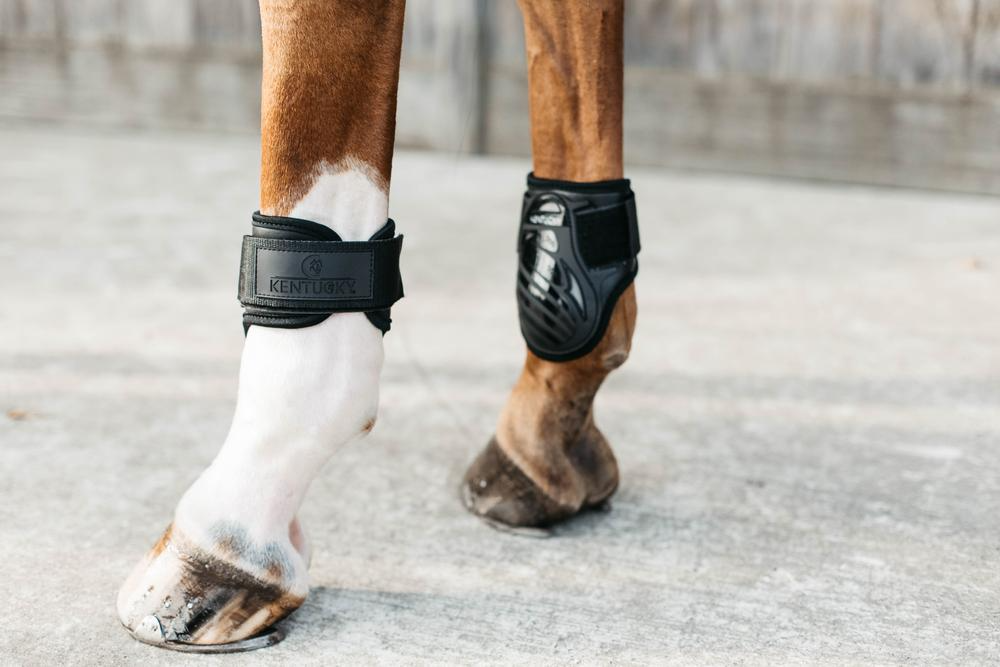 Kentucky Horsewear Young Horse Fetlock Boots