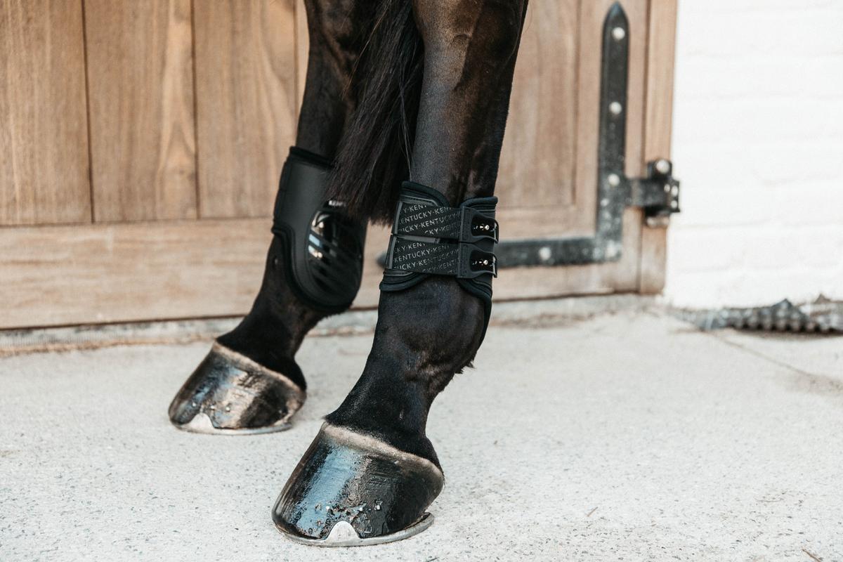 Kentucky Horsewear Fetlock Boots Elastic