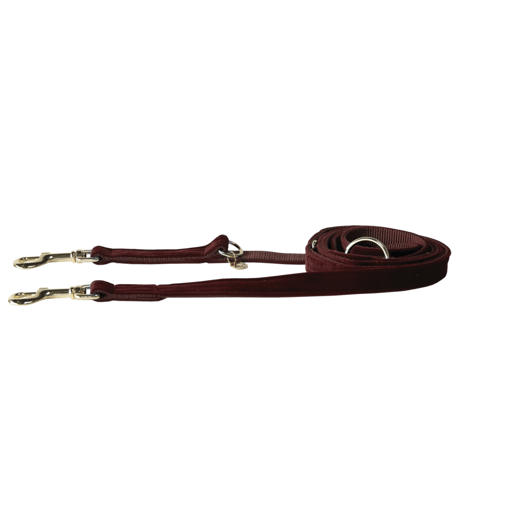 Kentucky Horsewear Dog Lead Velvet