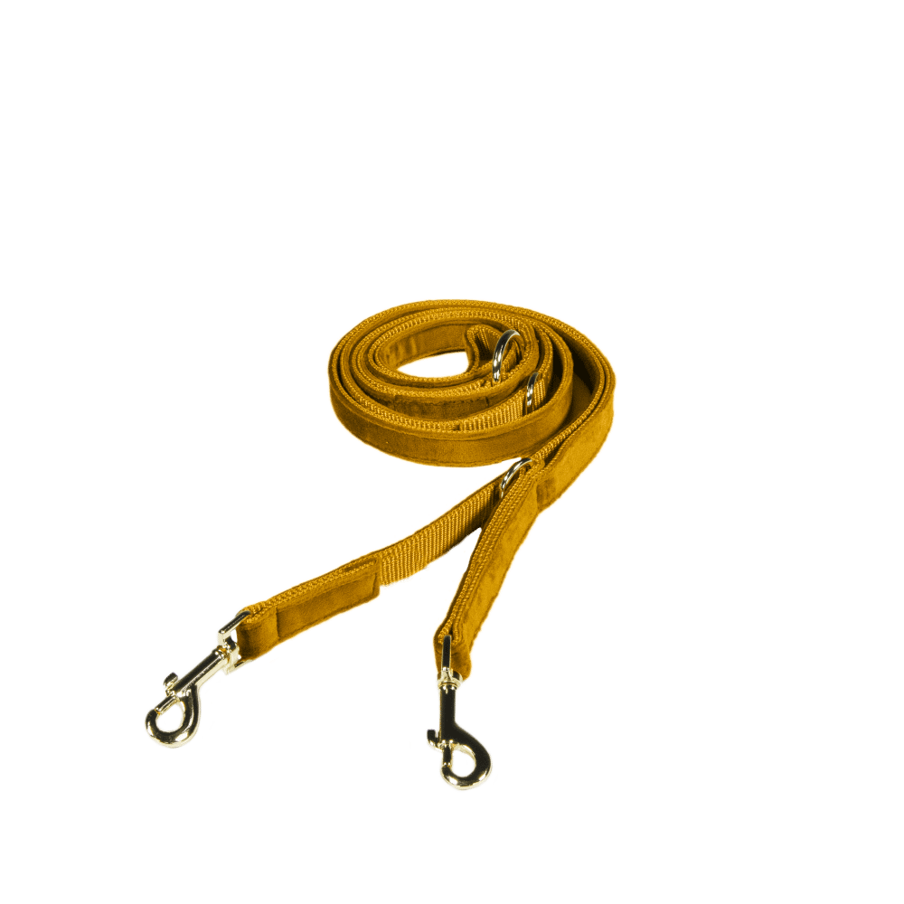 Kentucky Horsewear Dog Lead Velvet Black Size S