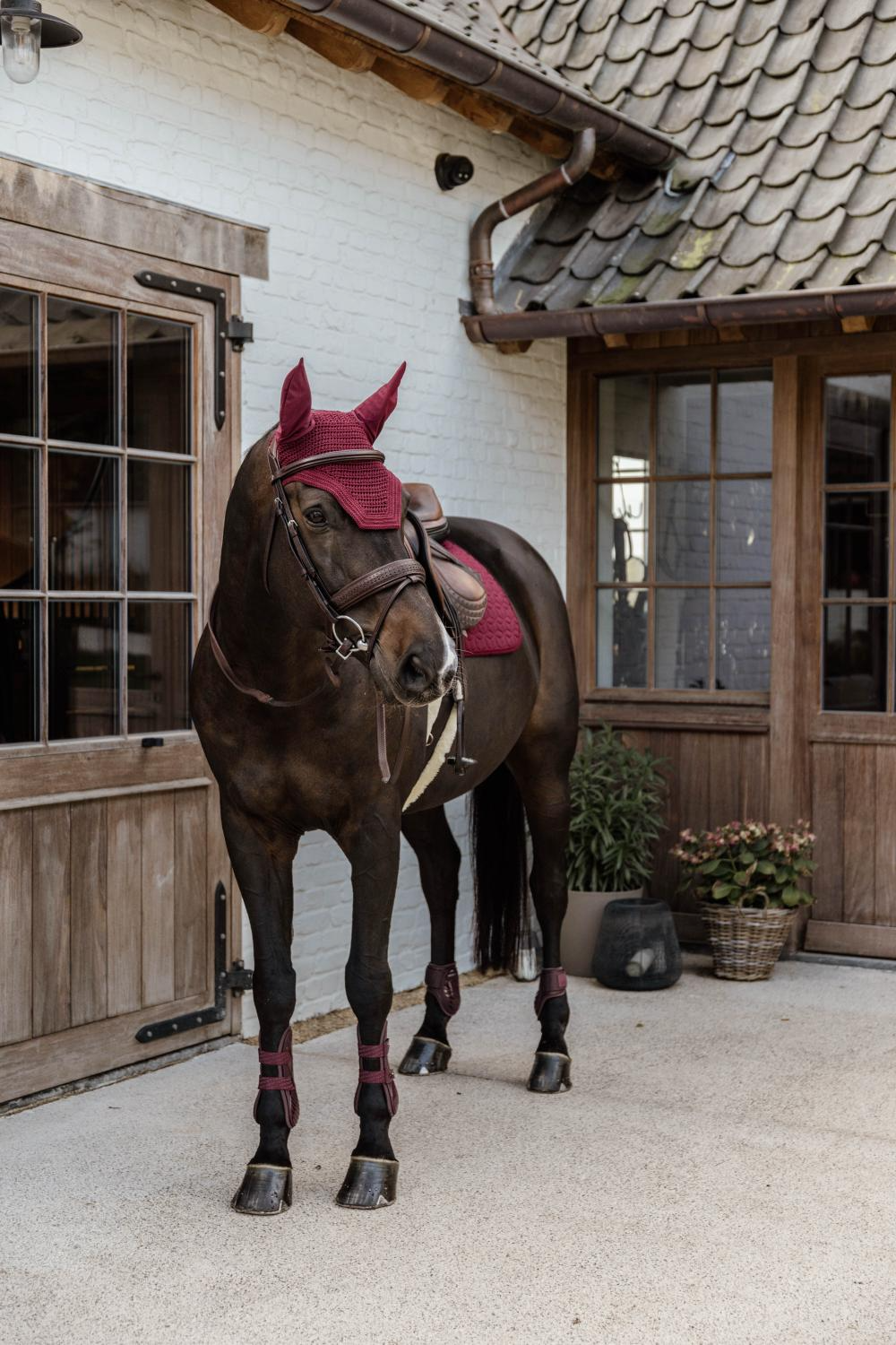 Kentucky Horsewear Young Horse Fetlock Boots