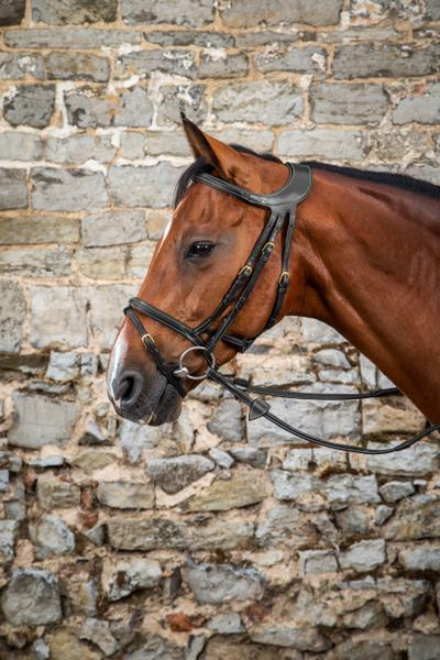 Dy'on D Collection "Difference" Bridle