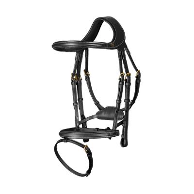 Dy'on D Collection "Difference" Bridle