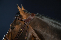 Dy'on D Collection "Difference" Bridle