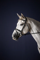 Dy'on New English Collection Flash Noseband Bridle