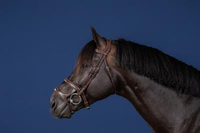 Dy'on US Jumping Collection Double Noseband Bridle