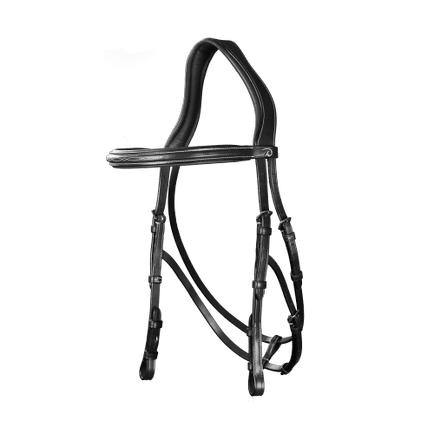 Dy'on US Jumping Collection Hackamore Bridle