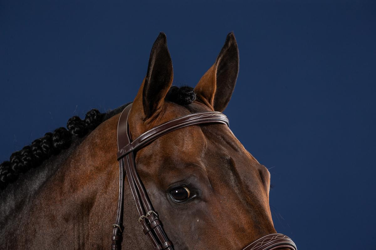 Dy'on US Hunter Collection Wide Noseband Hunter Bridle