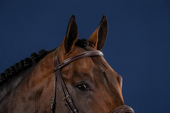 Dy'on US Hunter Collection Wide Noseband Hunter Bridle