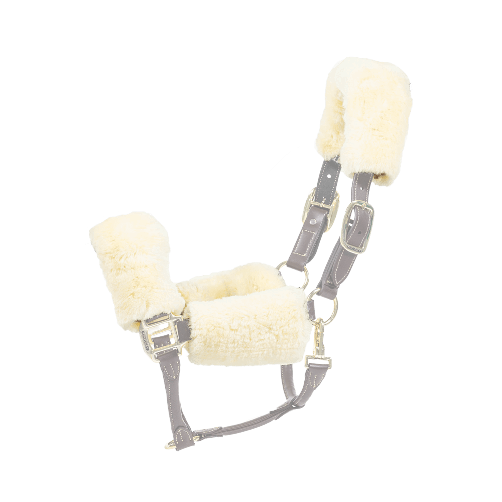 Kentucky Sheepskin Halter Set Of 4