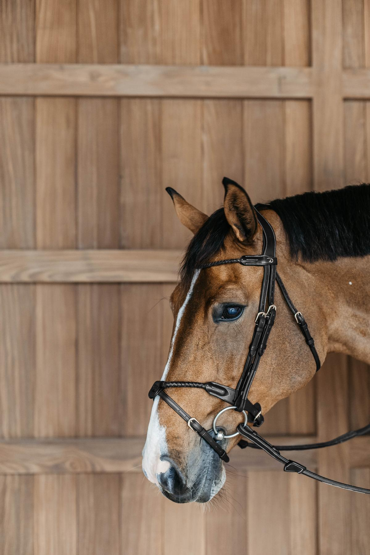 Dy'on D Collection Braided Flash Noseband Bridle