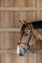 Dy'on D Collection Braided Flash Noseband Bridle