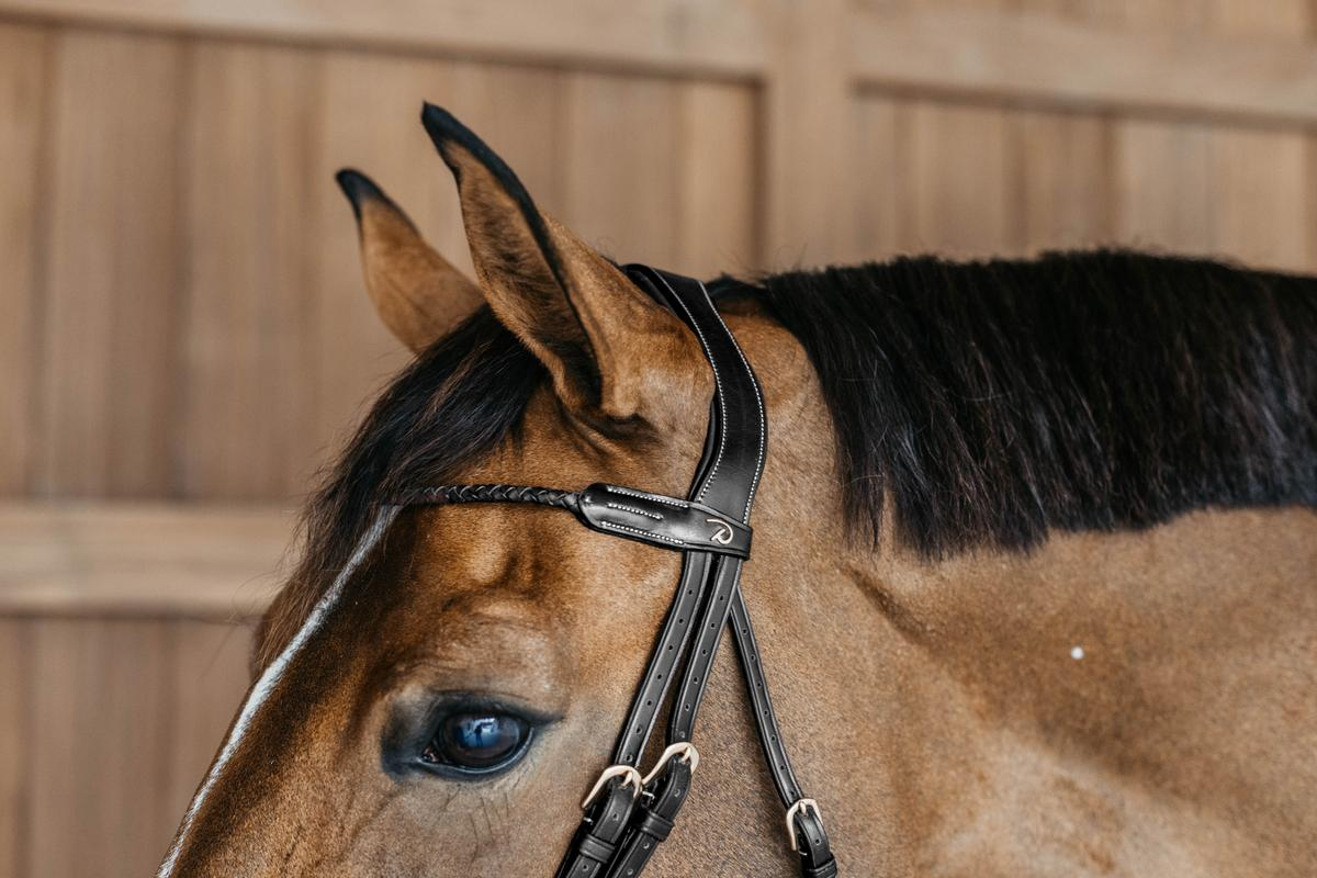 Dy'on D Collection Braided Flash Noseband Bridle