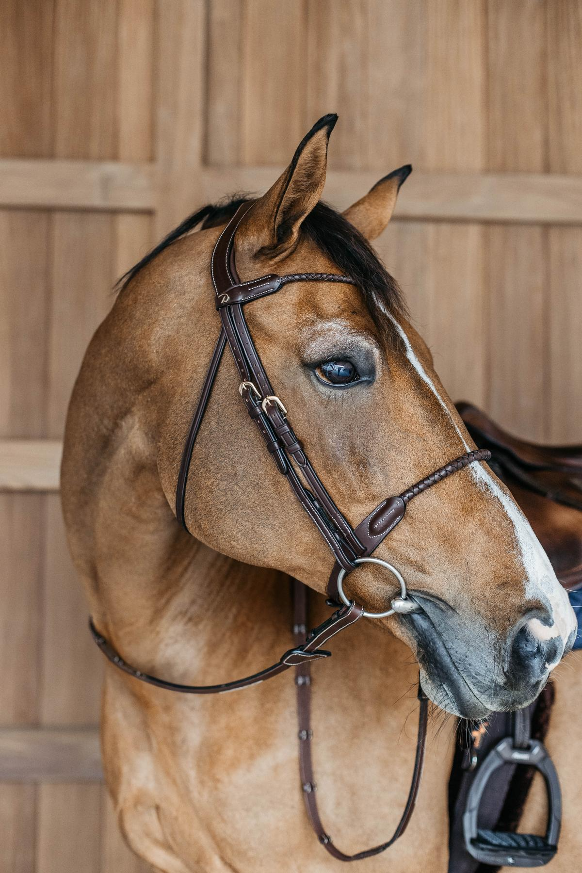 Dy'on D Collection Braided Flash Noseband Bridle