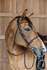 Dy'on D Collection Braided Flash Noseband Bridle