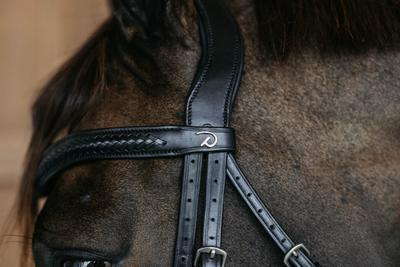 Dy'on New English Collection Plaited Flash Noseband Bridle with Pull back