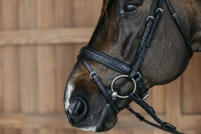 Dy'on New English Collection Plaited Flash Noseband Bridle with Pull back