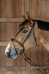 Dy'on New English Collection Plaited Flash Noseband Bridle