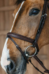 Dy'on New English Collection Plaited Flash Noseband Bridle