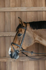 Dy'on Working Collection Training Bridle