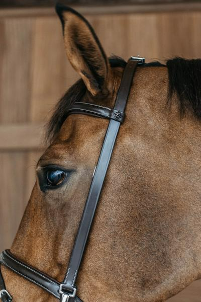Dy'on Working Collection Training Bridle