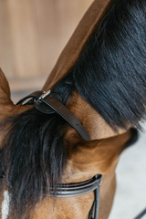 Dy'on Working Collection Training Bridle